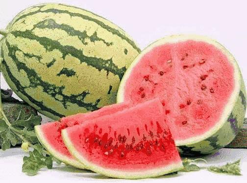 宁夏,历史文化的底蕴与社会发展的轨迹