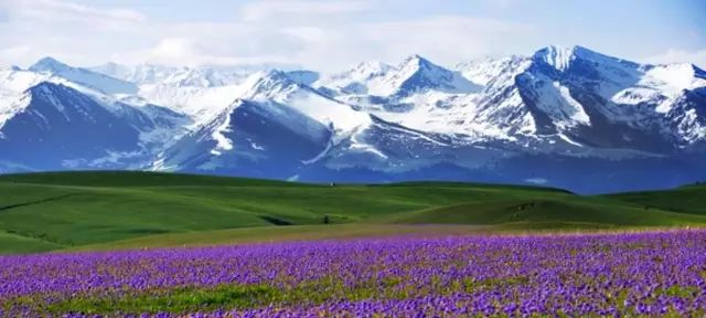 新疆,梦想之地的自信之旅