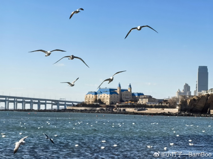 揭秘大连，活力之城的魅力无限
