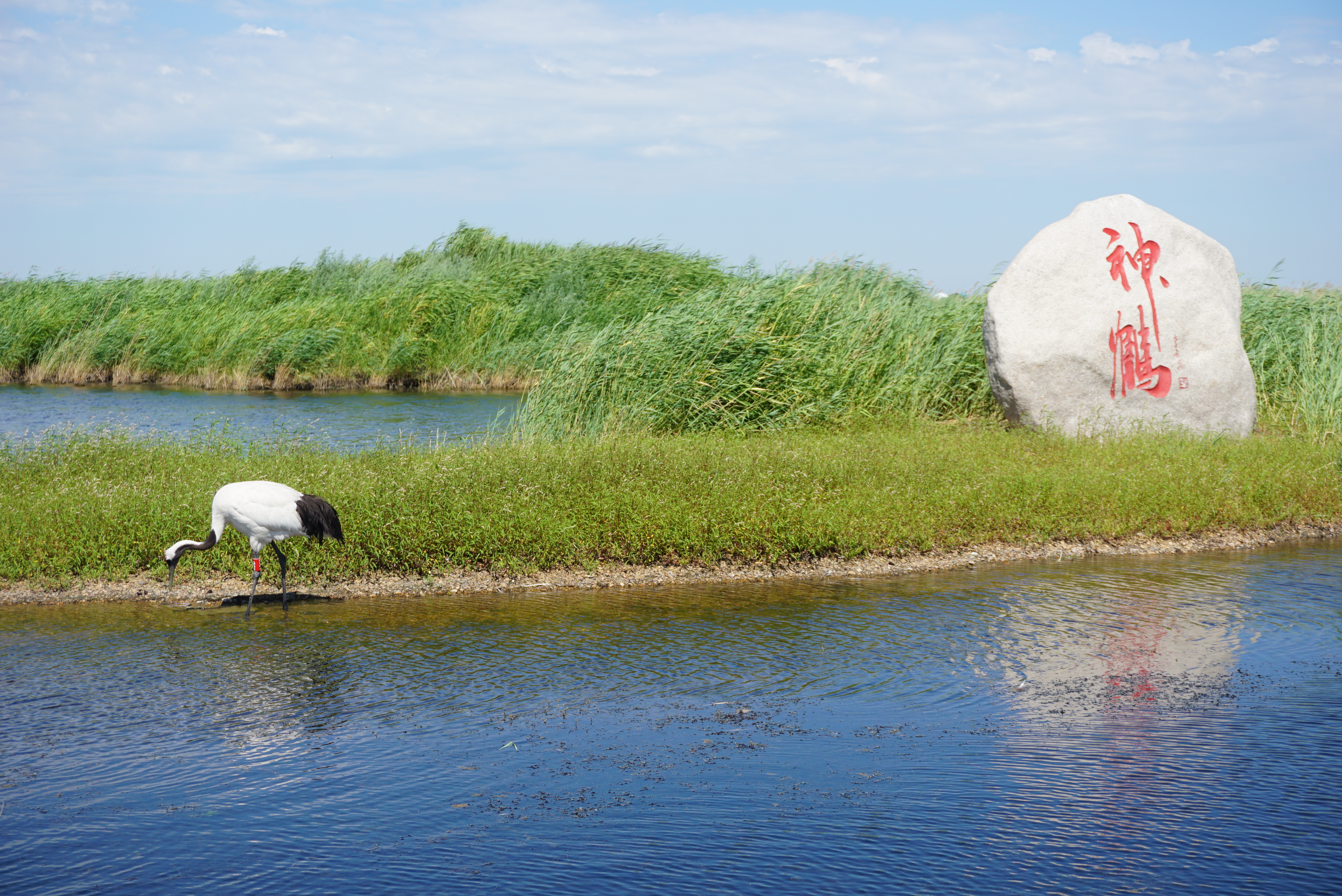 古韵戏台，独白传情——运城古戏台演绎时光之旅